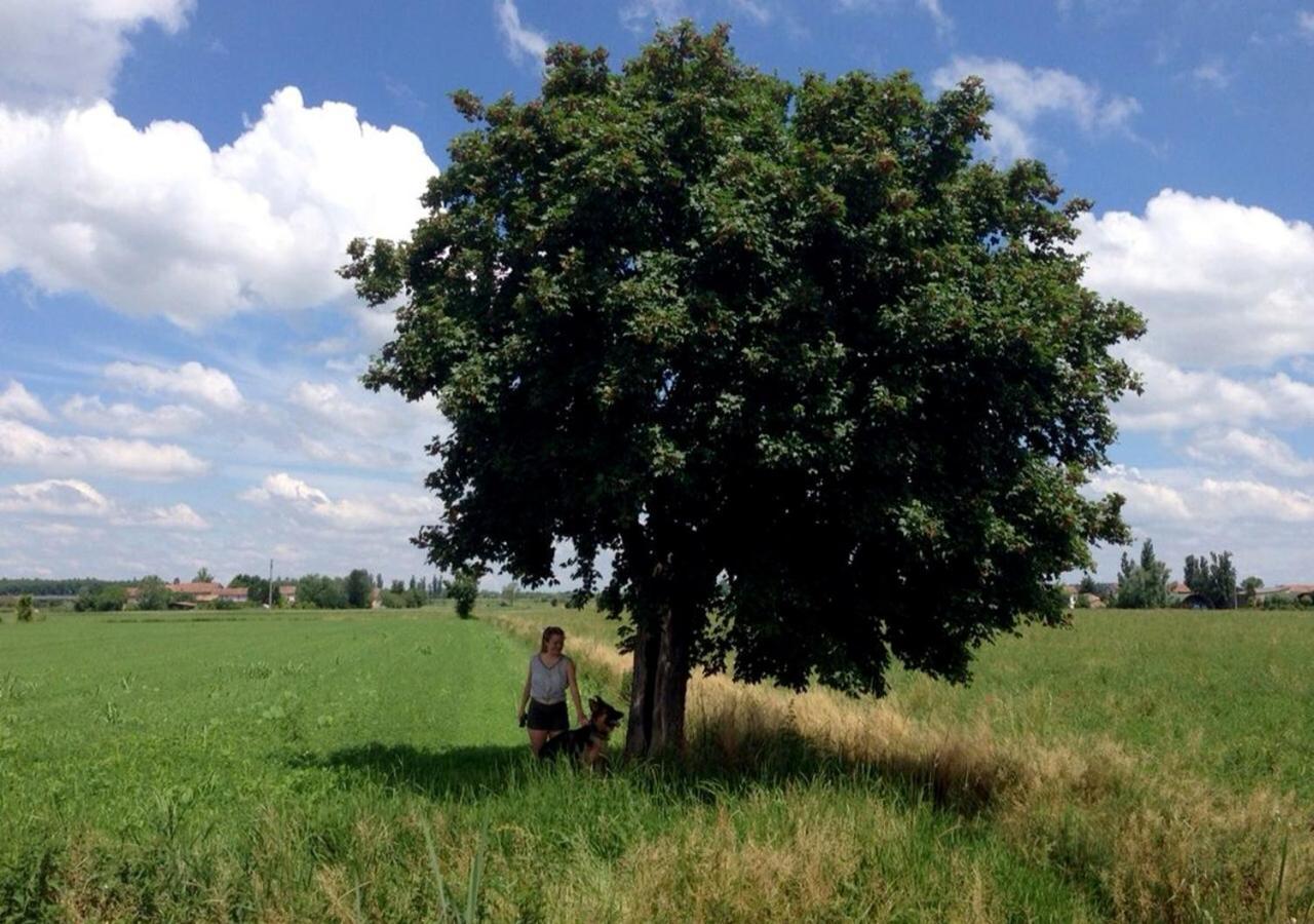 B&B Antica Cascina Boretto Kültér fotó